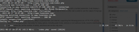 wget